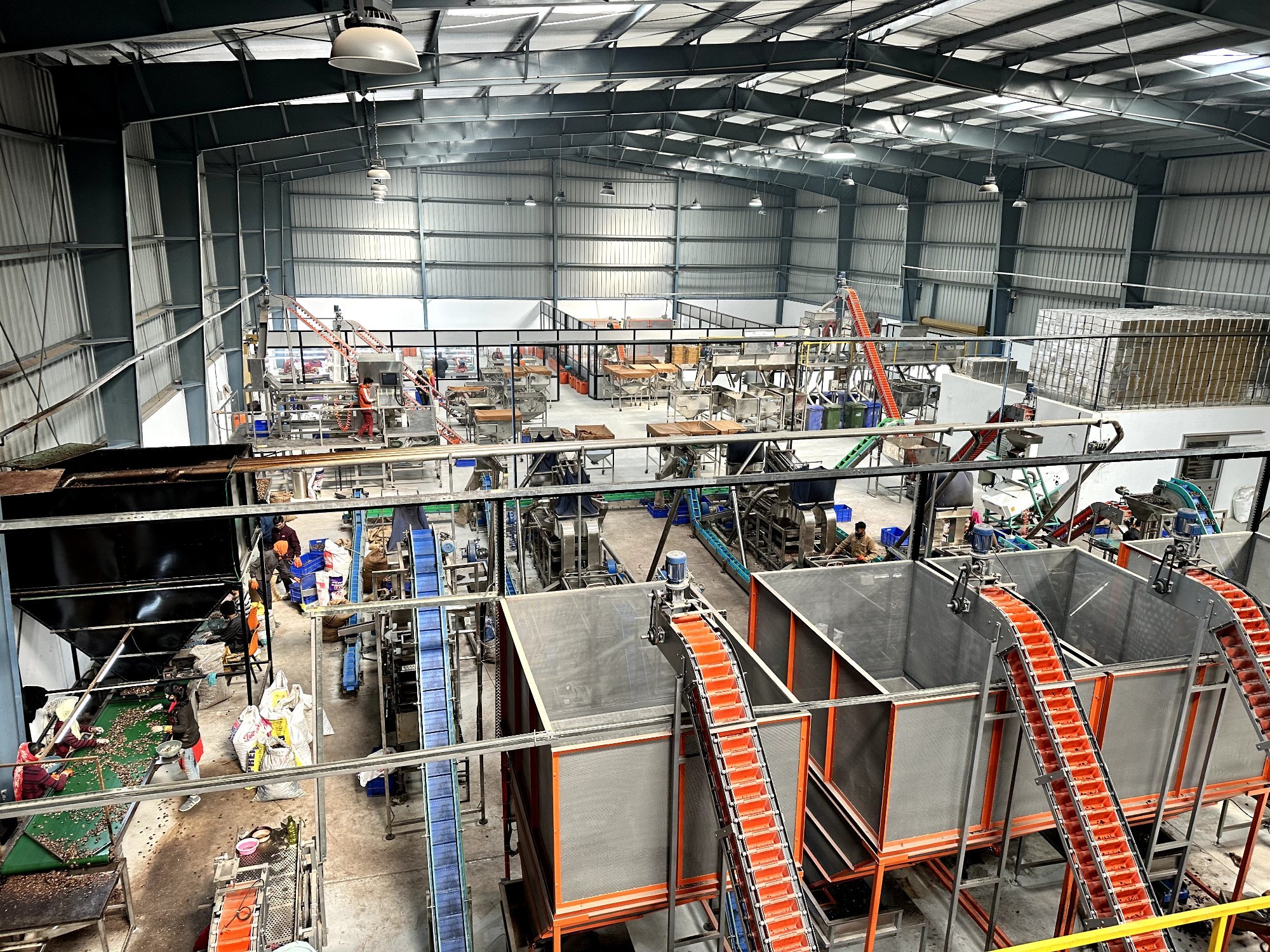 Kattha Plant
